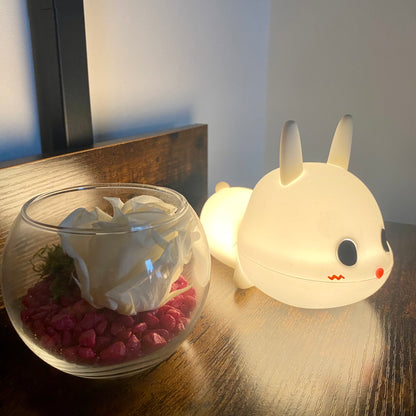 Lampe Veilleuse Lapin 🐰